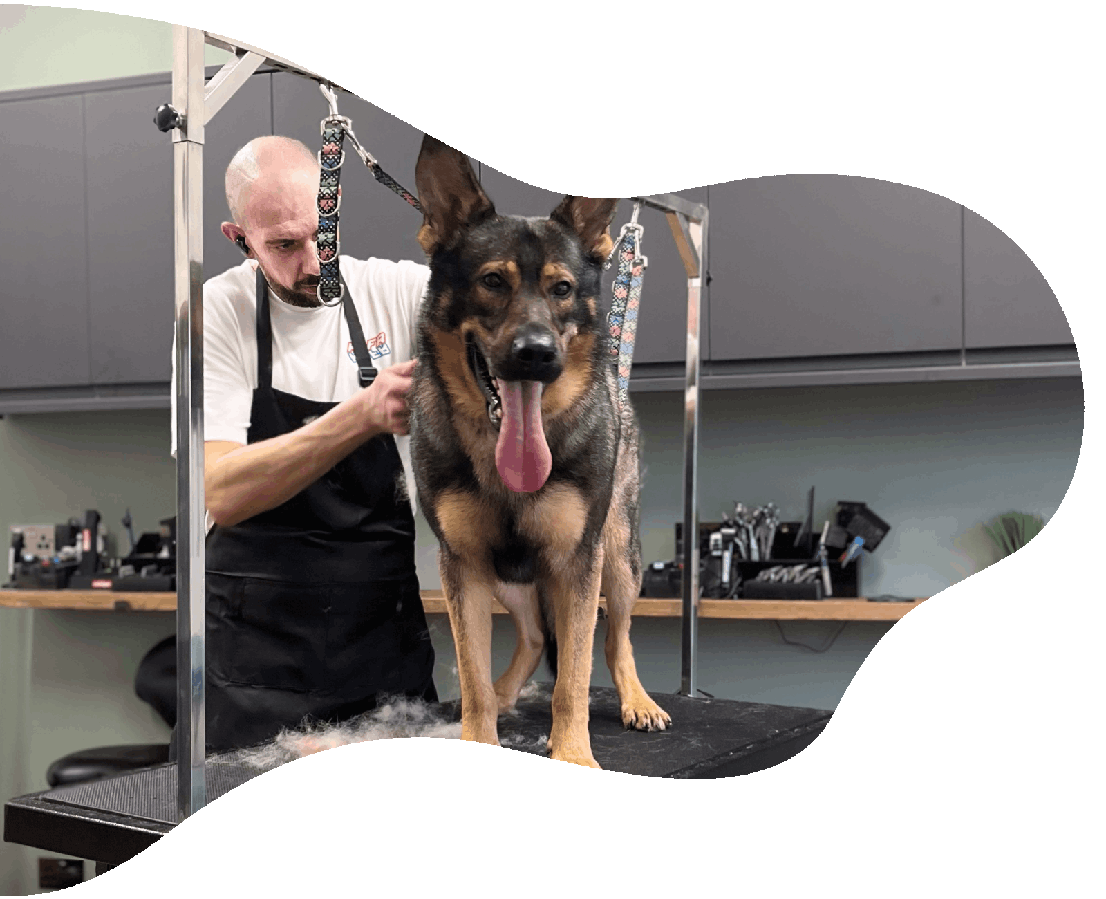 Pampered Paws Walton